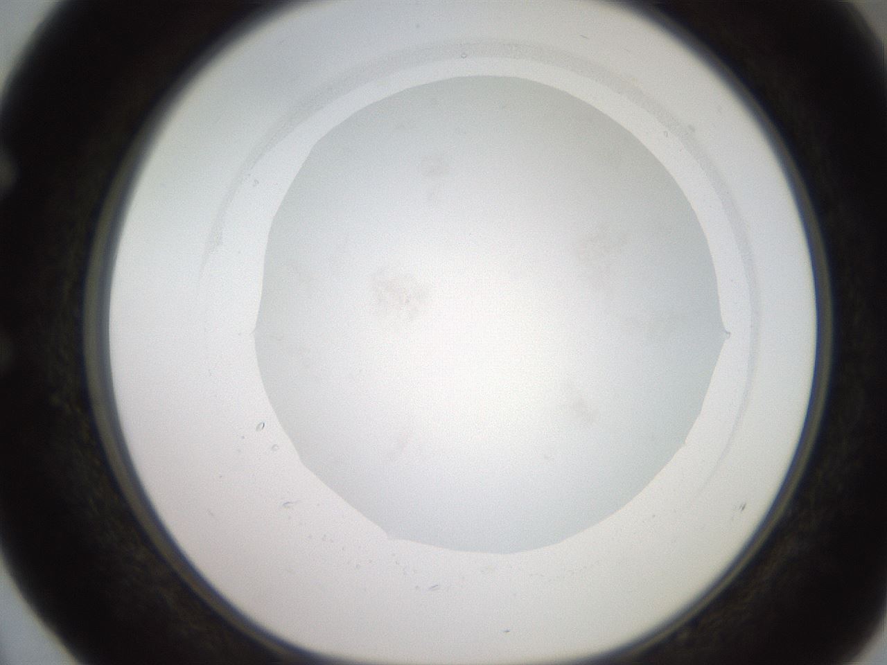 folderID258_plateID2258_batchID10191_wellNum52_profileID1_d1_r156904_ef.jpg