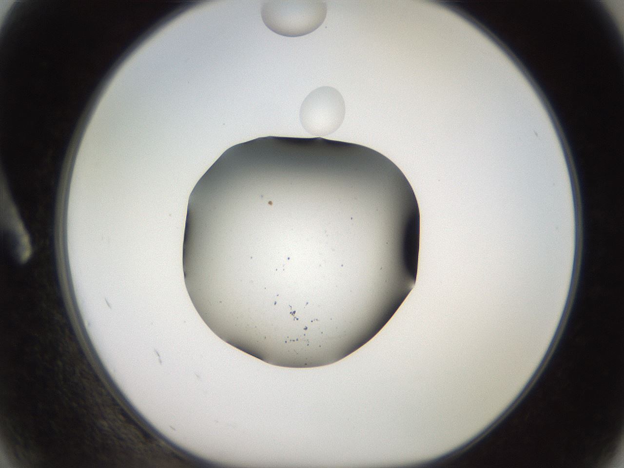 folderID259_plateID2259_batchID10216_wellNum2_profileID1_d1_r157188_ef.jpg