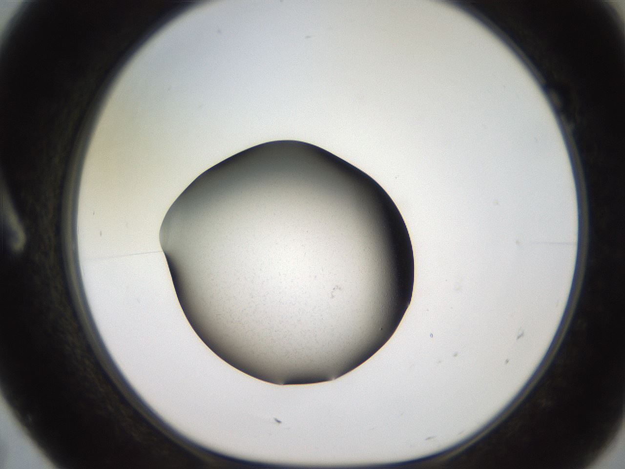 folderID259_plateID2259_batchID10241_wellNum7_profileID1_d1_r157198_ef.jpg