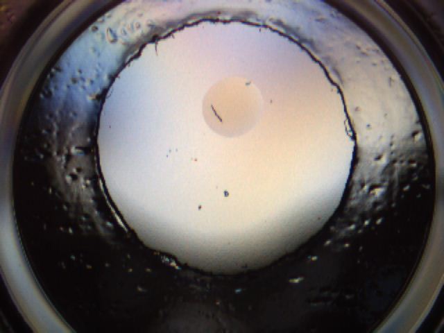 0474_B3_ImagerDefaults_1.jpg