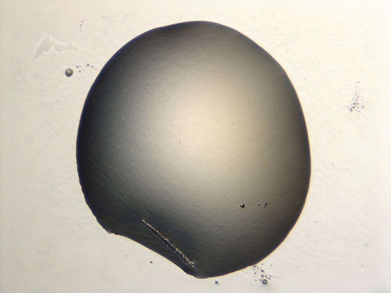 0474_A2_ImagerDefaults_1.jpg