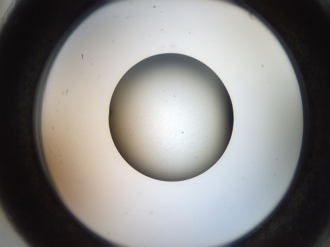 folderID260_plateID2260_batchID10280_wellNum91_profileID1_d2_r157175_ef.jpg