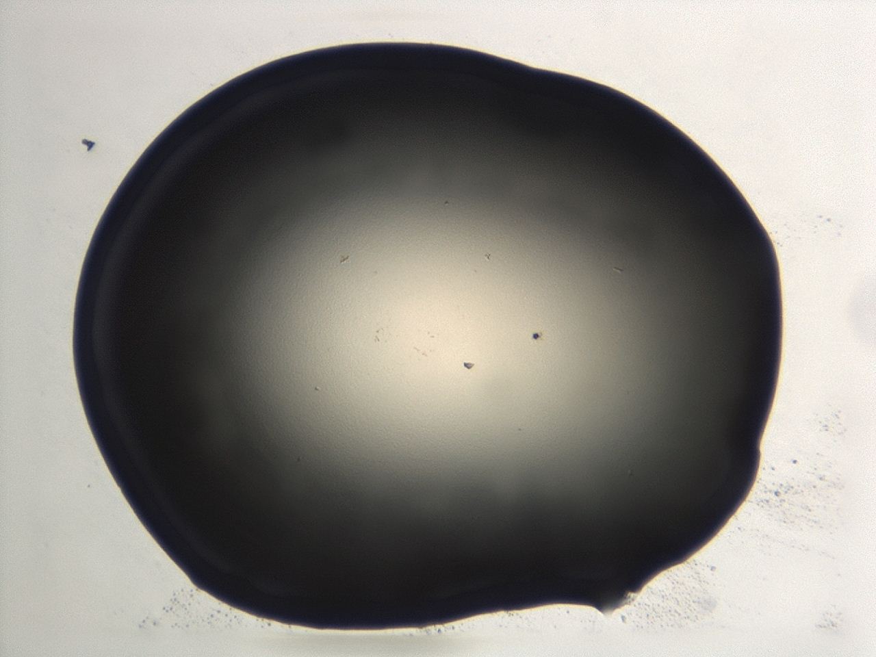 0474_A11_ImagerDefaults_1.jpg