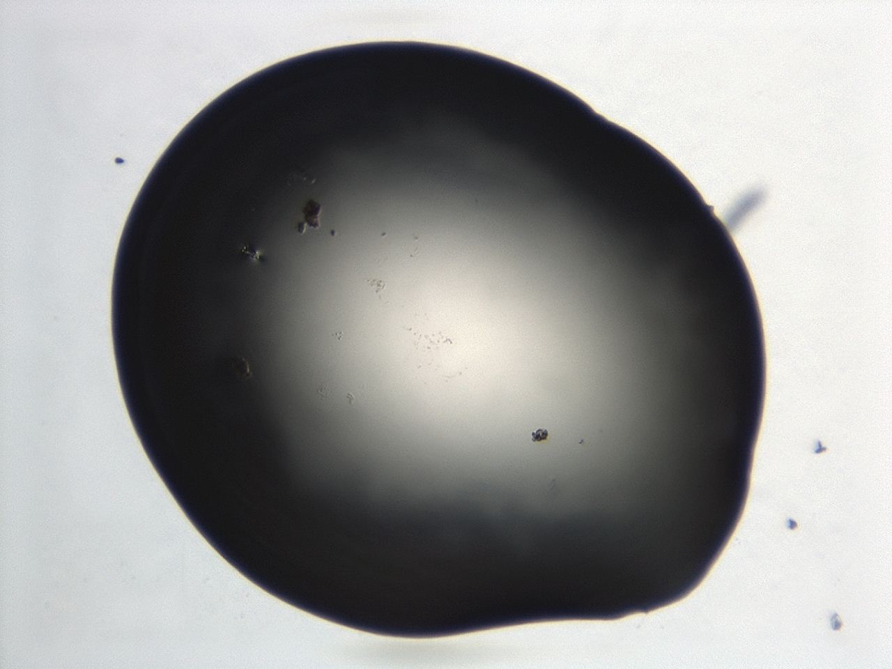 0474_A12_ImagerDefaults_1.jpg