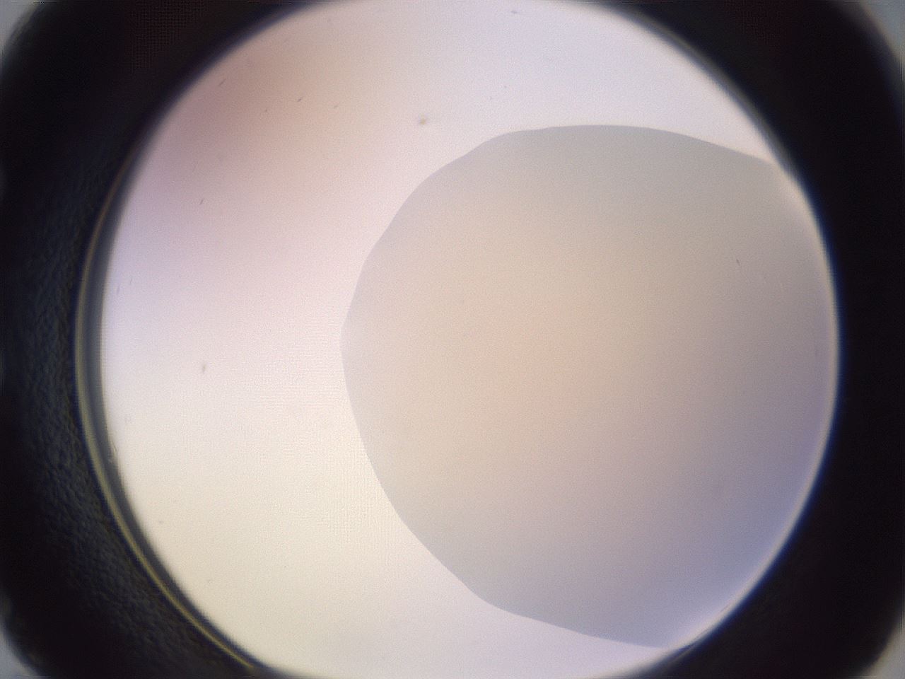 folderID264_plateID3264_batchID18661_wellNum50_profileID1_d1_r287407_ef.jpg