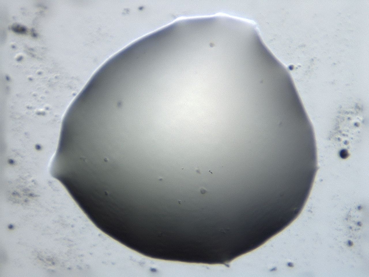 0474_E2_ImagerDefaults_1.jpg