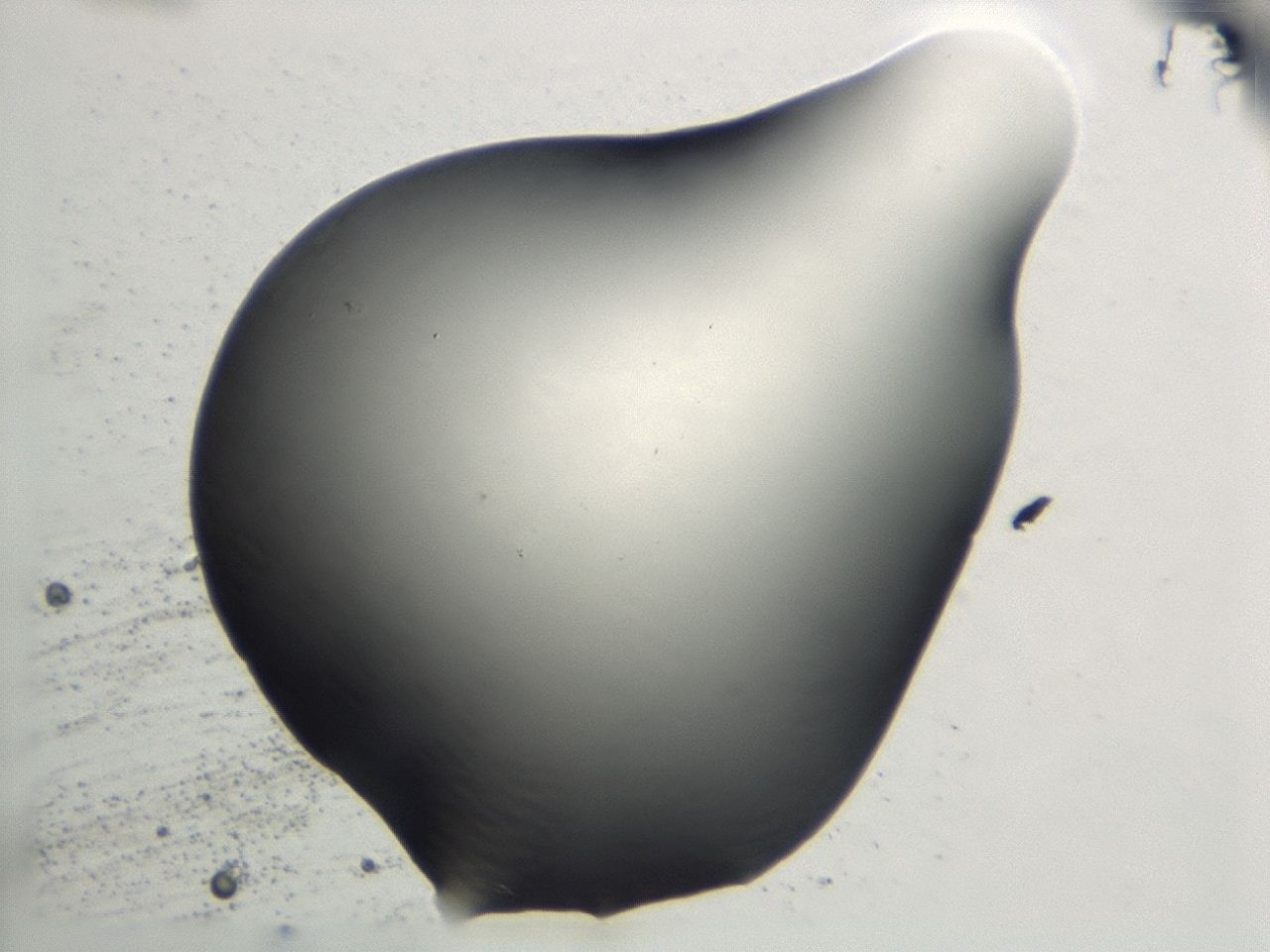 0474_E3_ImagerDefaults_1.jpg