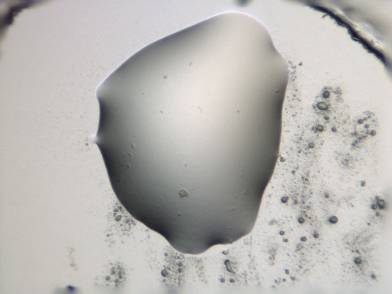 0474_E4_ImagerDefaults_1.jpg