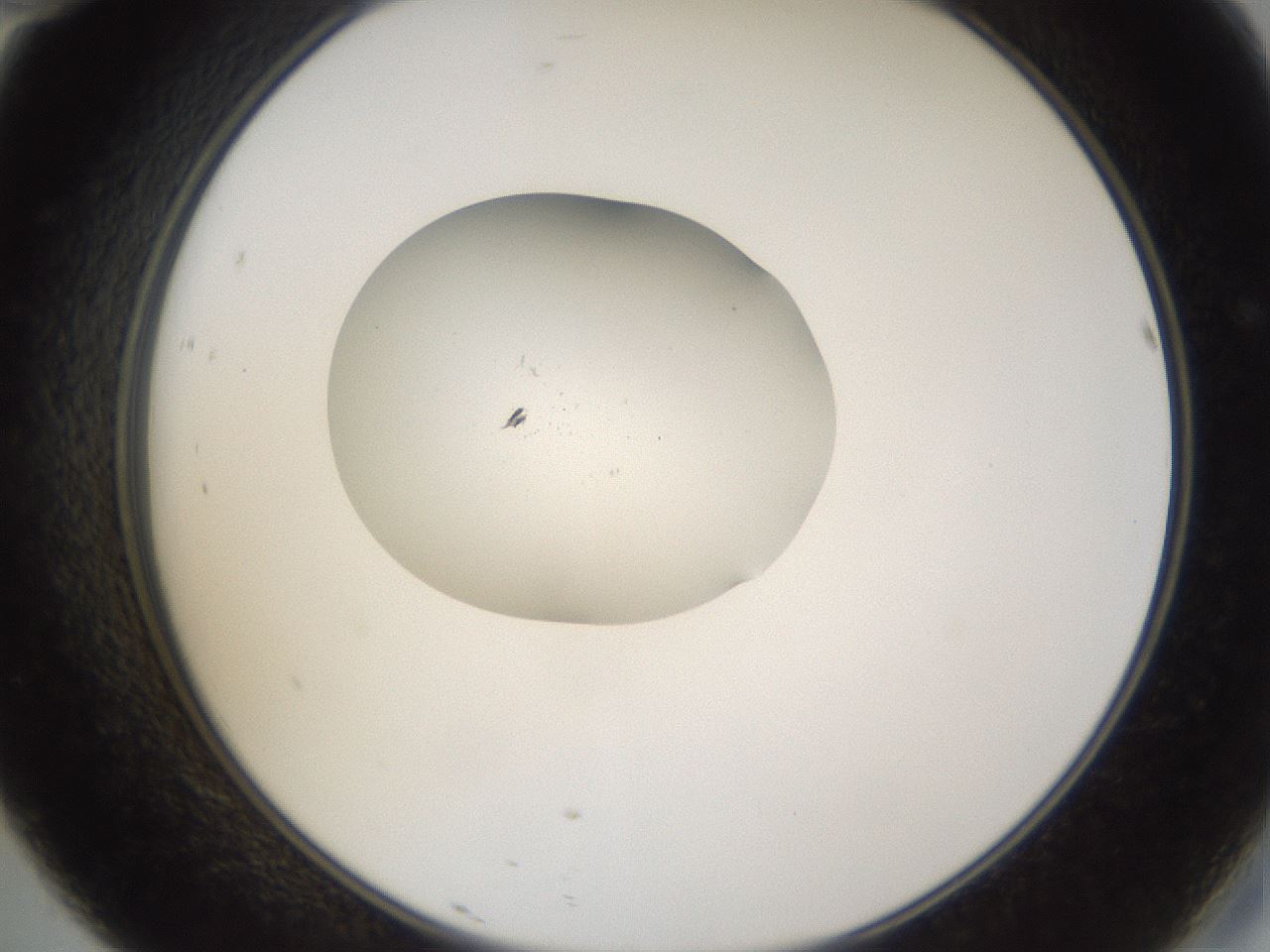 folderID267_plateID3267_batchID18861_wellNum46_profileID1_d2_r286826_ef.jpg