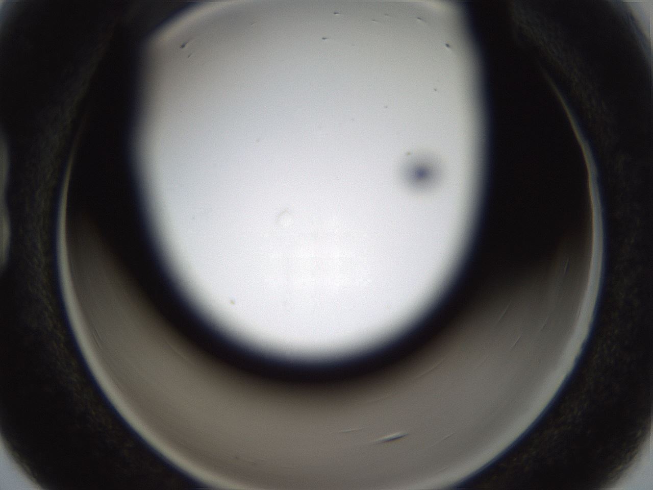 folderID267_plateID3267_batchID19287_wellNum15_profileID1_d1_r286763_ef.jpg