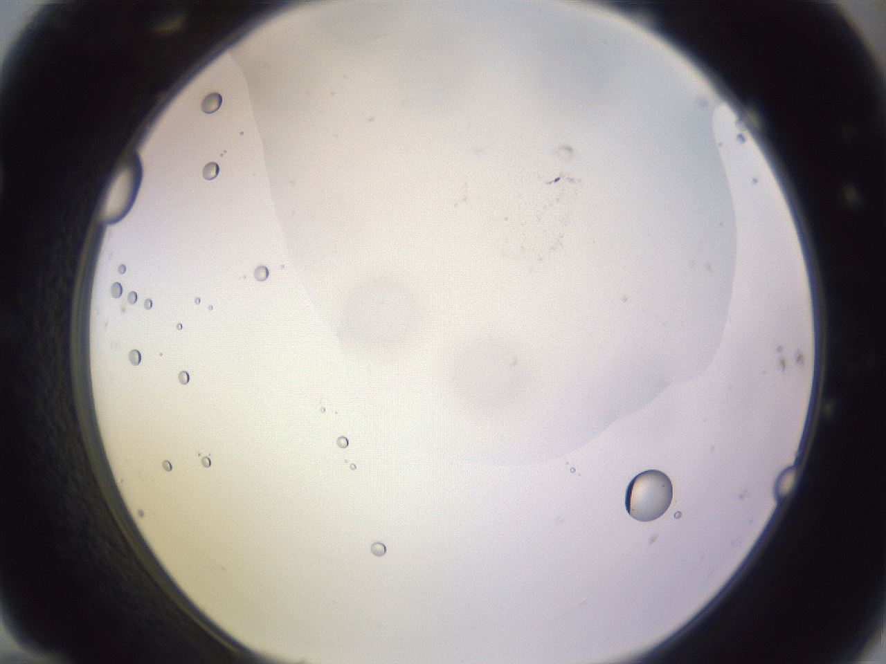 folderID277_plateID1277_batchID4634_wellNum70_profileID1_d1_r73666_ef.jpg