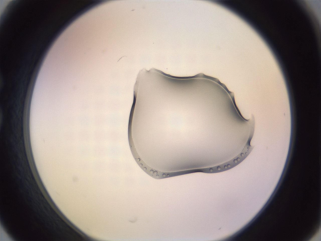 folderID279_plateID1279_batchID4641_wellNum30_profileID1_d1_r74930_ef.jpg