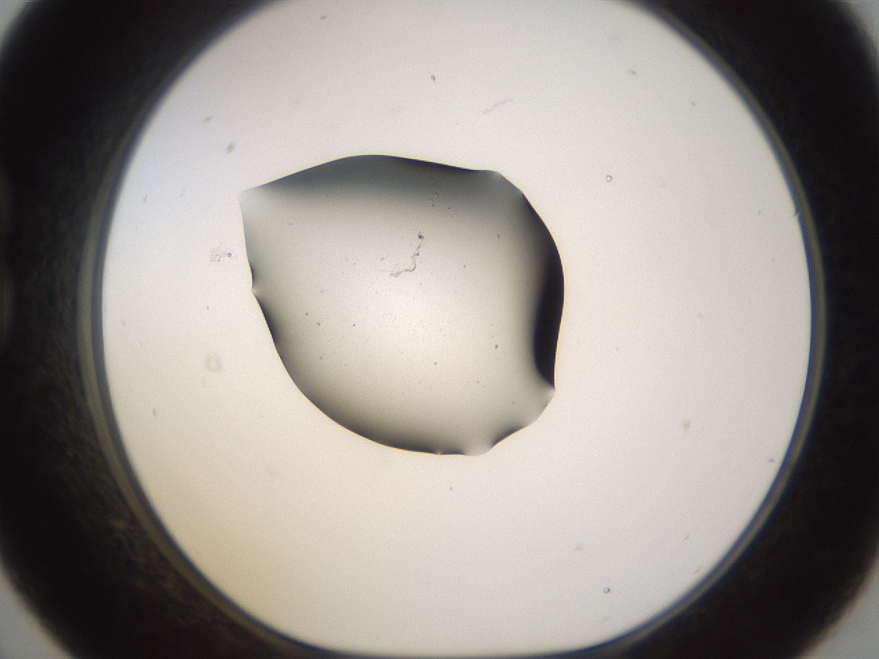 folderID279_plateID3279_batchID18868_wellNum21_profileID1_d1_r288989_ef.jpg
