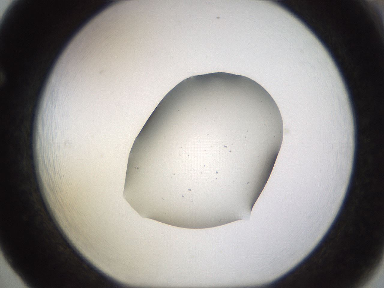 folderID279_plateID3279_batchID18868_wellNum65_profileID1_d1_r289077_ef.jpg