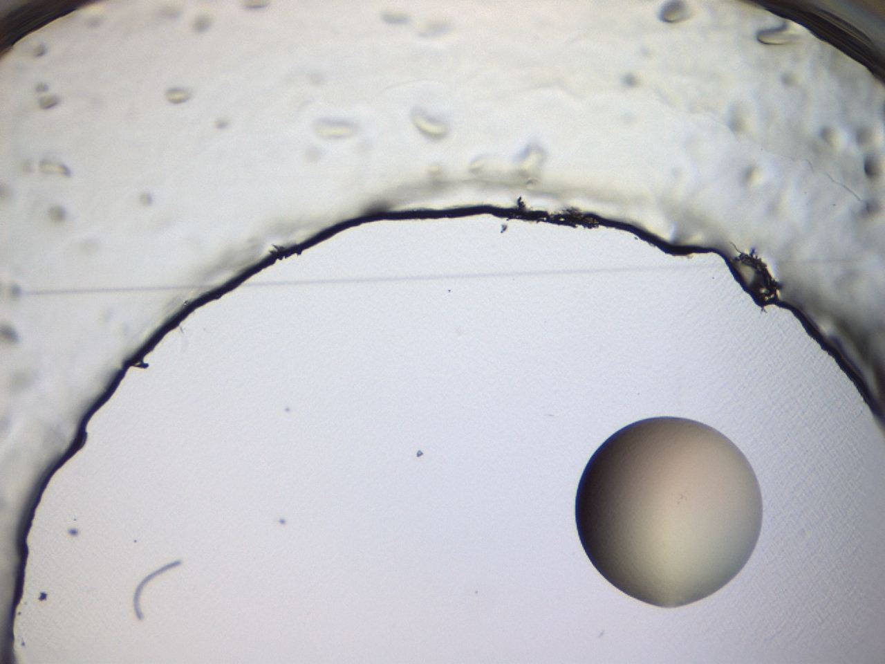 0476_C6_ImagerDefaults_1.jpg