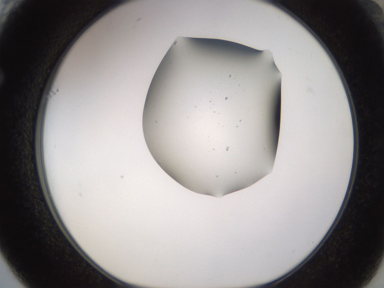 folderID282_plateID3282_batchID19043_wellNum61_profileID1_d1_r289261_ef.jpg