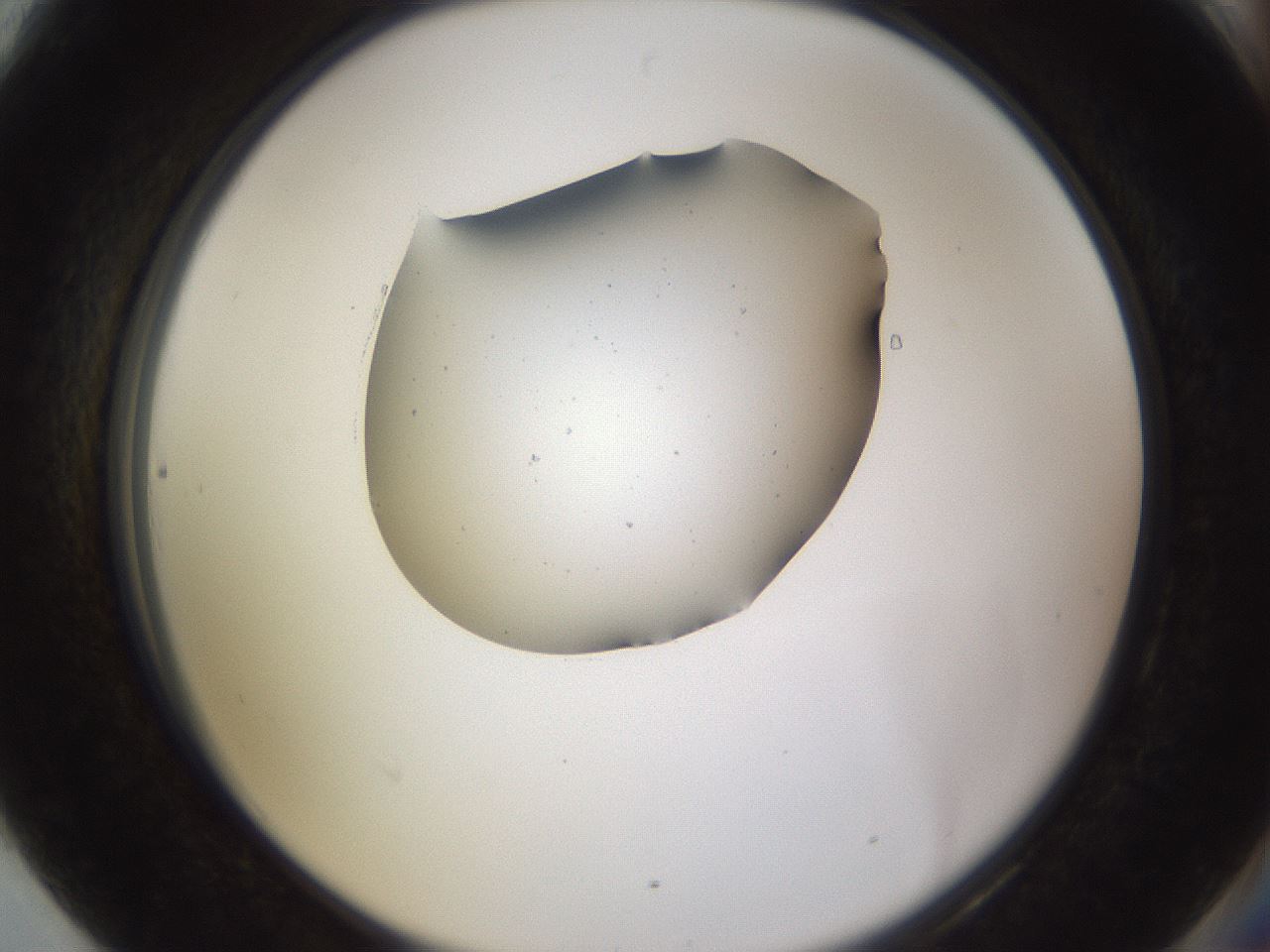 folderID283_plateID3283_batchID18867_wellNum90_profileID1_d2_r288936_ef.jpg