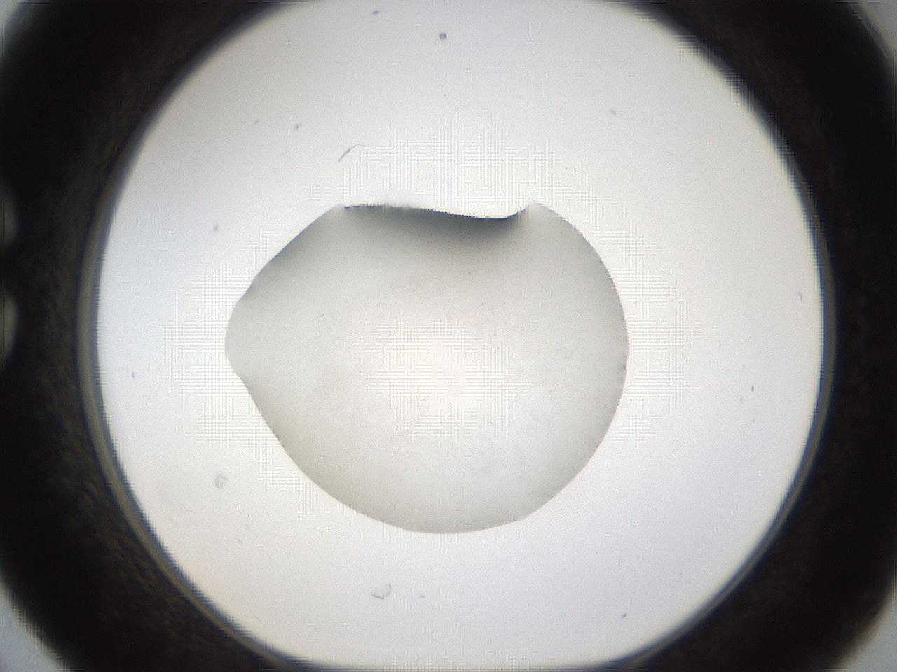 folderID285_plateID1285_batchID3924_wellNum30_profileID1_d1_r77397_ef.jpg