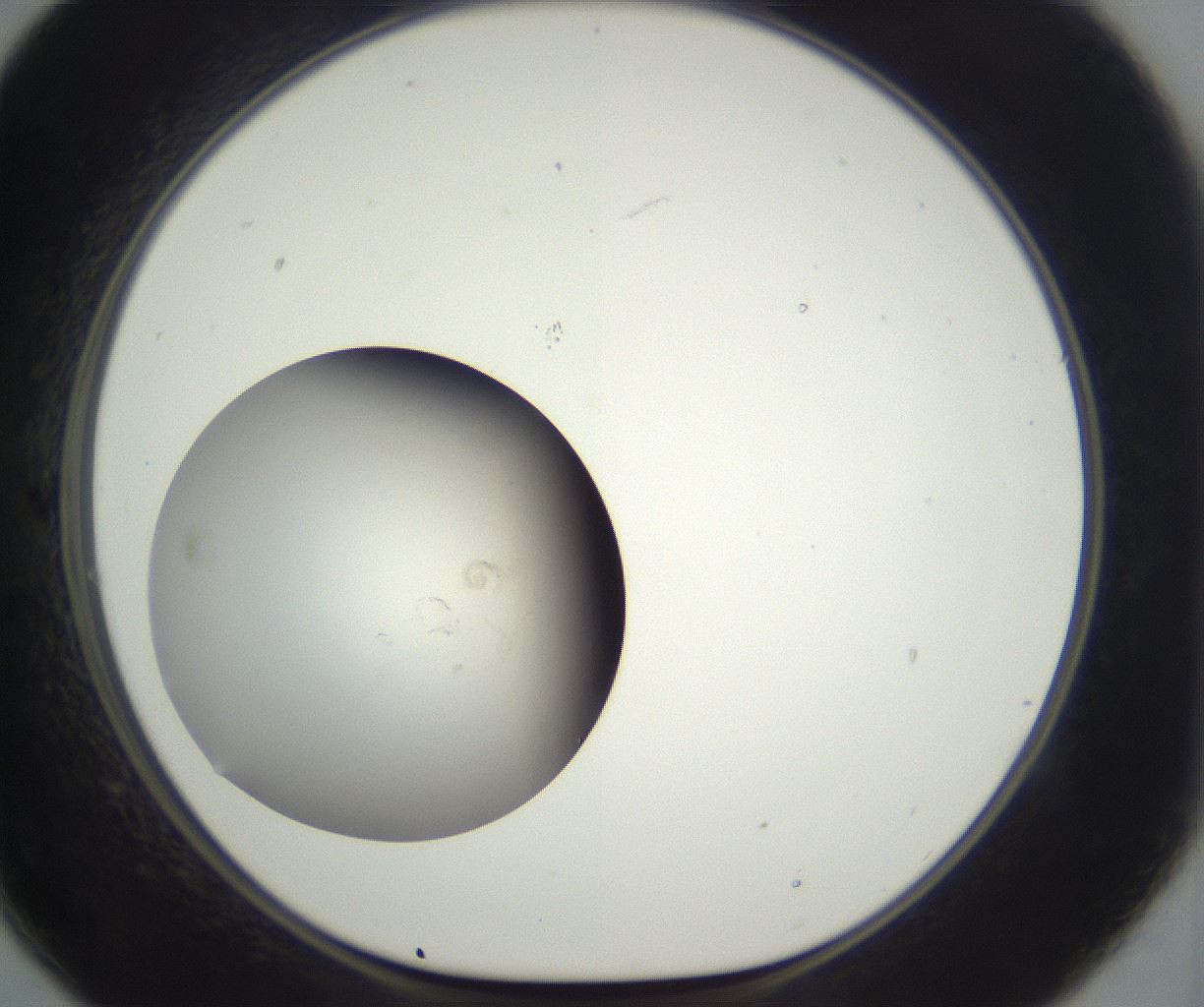 folderID285_plateID3285_batchID18874_wellNum21_profileID1_d1_r289800_ef.jpg