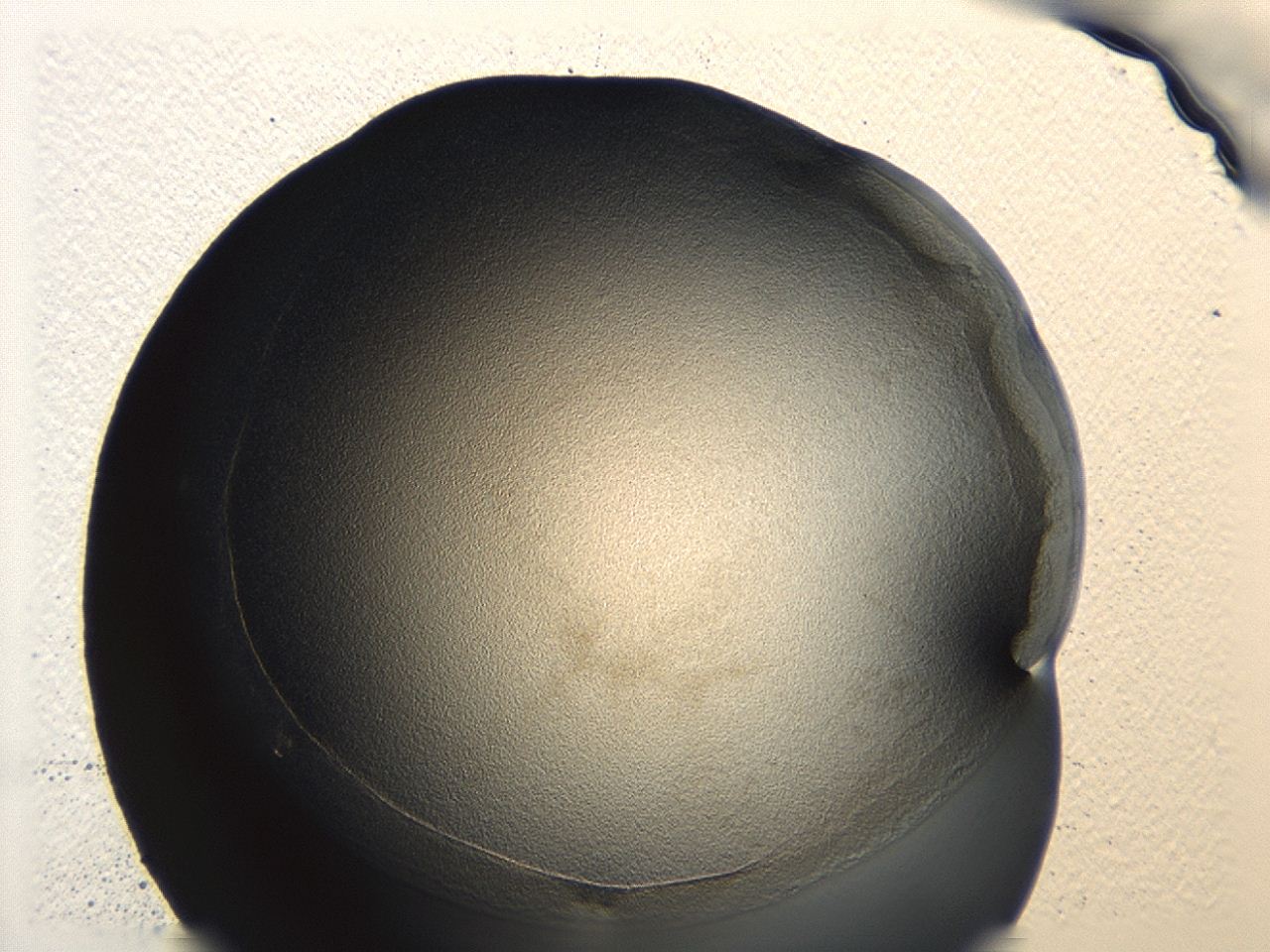 0476_A1_ImagerDefaults_1.jpg