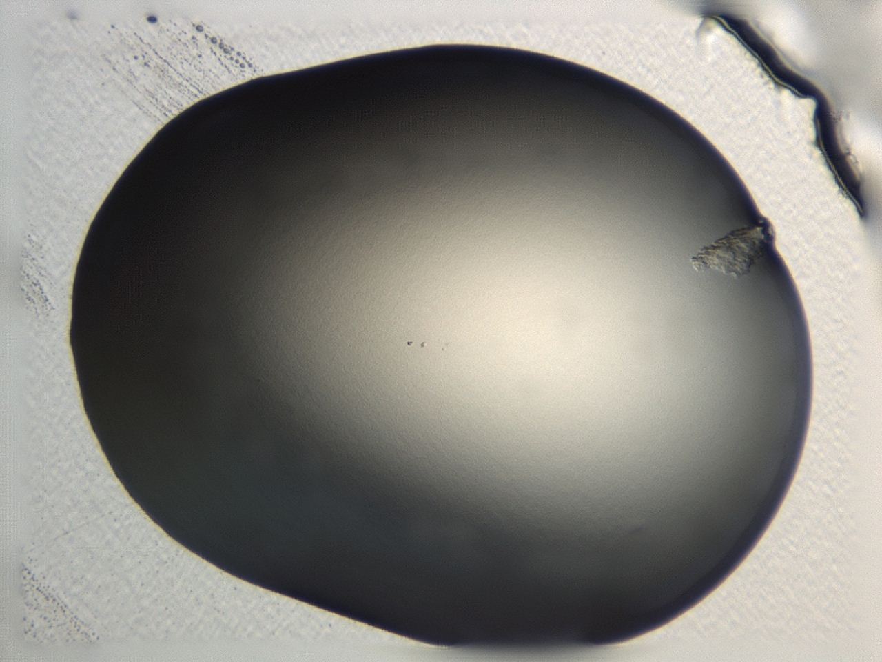 0476_A3_ImagerDefaults_1.jpg