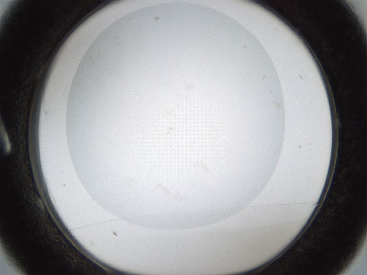 folderID286_plateID1286_batchID3984_wellNum1_profileID1_d1_r77560_ef.jpg