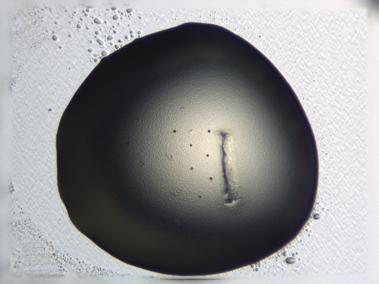 0476_B7_ImagerDefaults_1.jpg