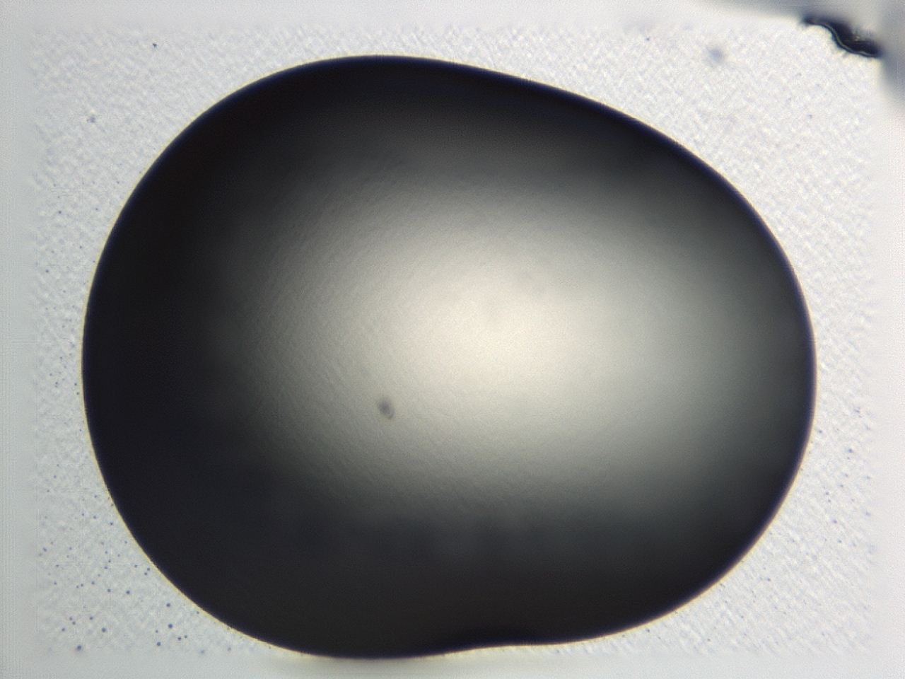 0476_E3_ImagerDefaults_1.jpg