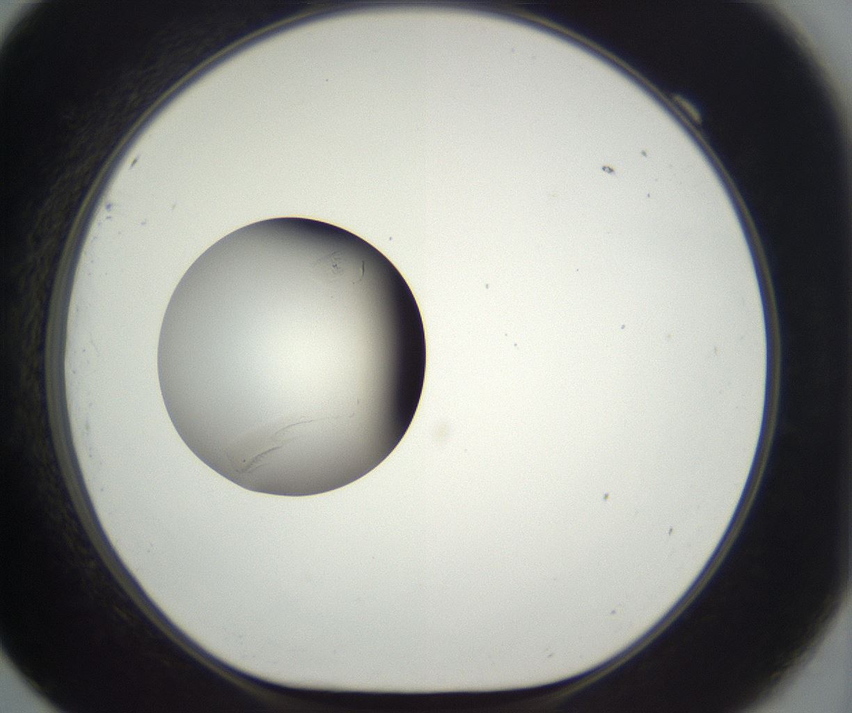 folderID292_plateID3292_batchID18797_wellNum69_profileID1_d1_r290232_ef.jpg