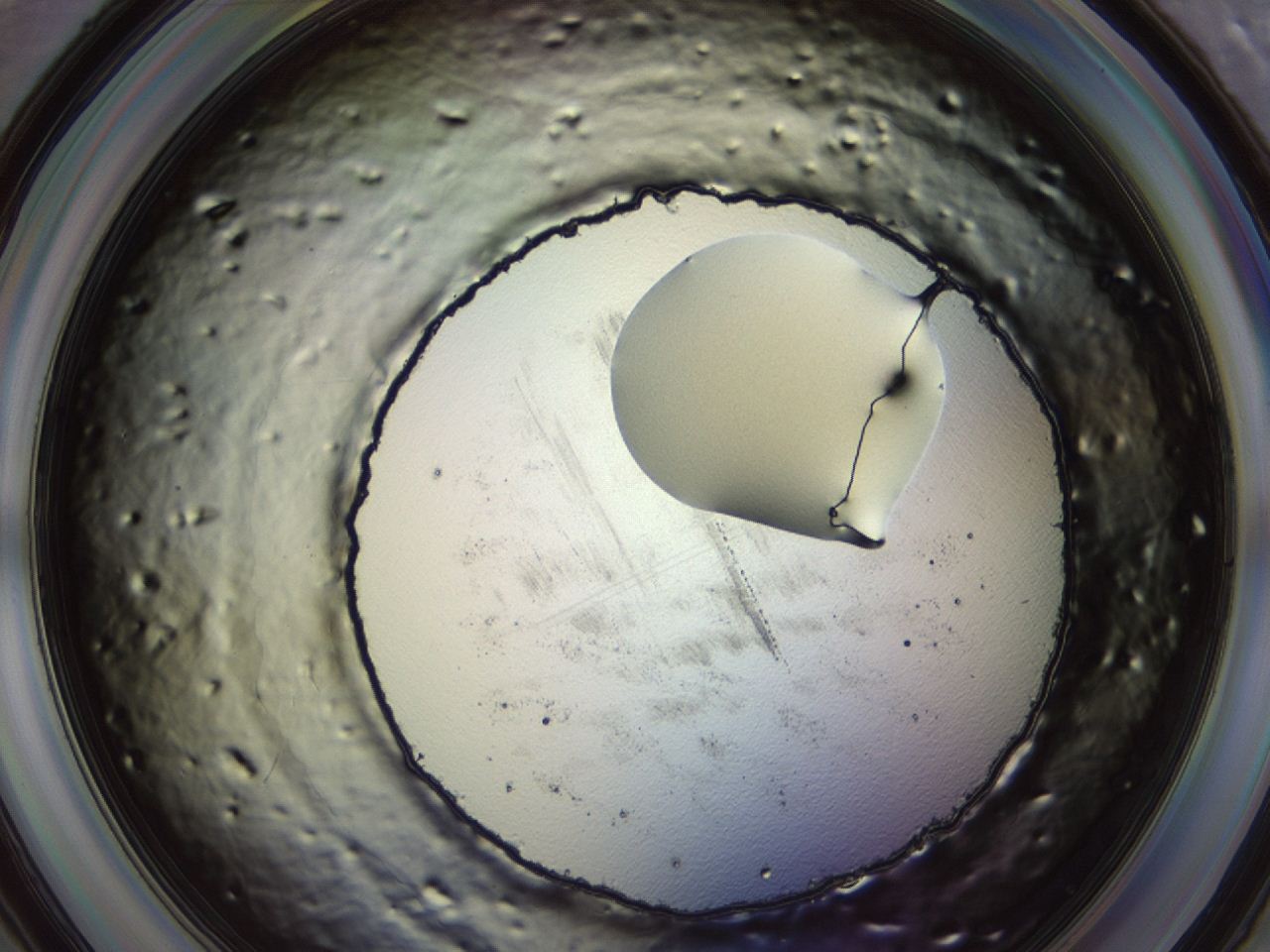 0476_F6_ImagerDefaults_1.jpg