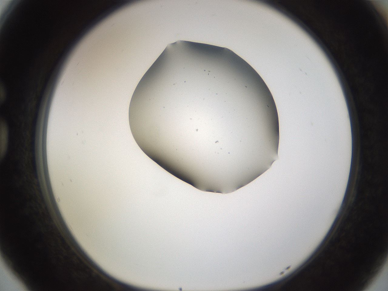 folderID283_plateID3283_batchID18867_wellNum77_profileID1_d1_r288909_ef.jpg