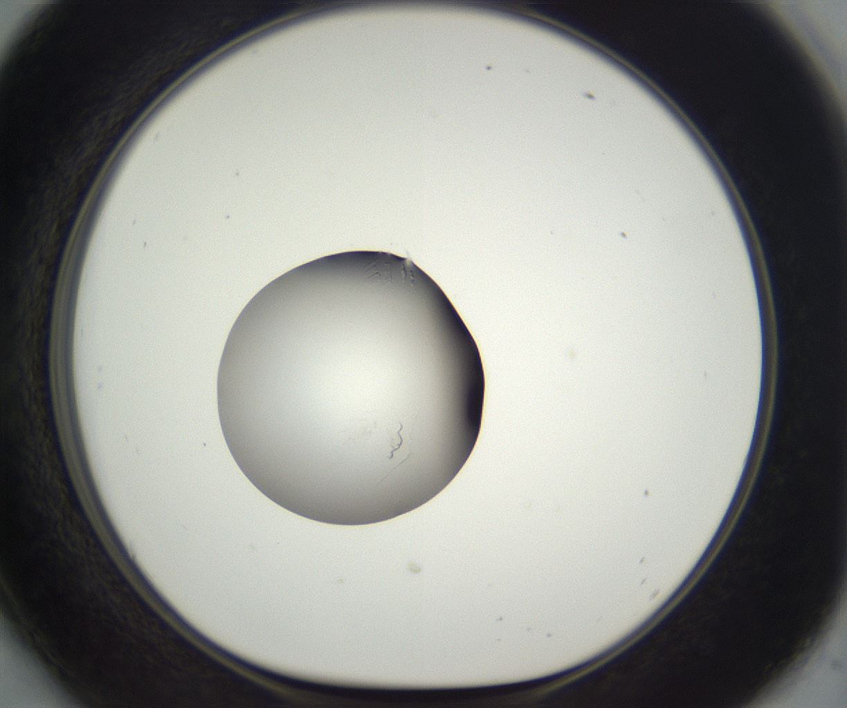 folderID292_plateID3292_batchID18949_wellNum54_profileID1_d1_r290217_ef.jpg