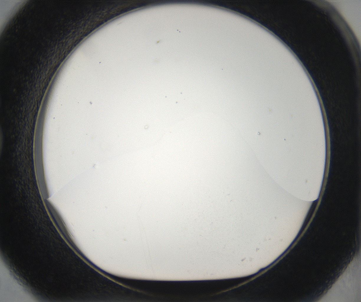 folderID29_plateID2029_batchID8838_wellNum79_profileID1_d1_r136412_ef.jpg