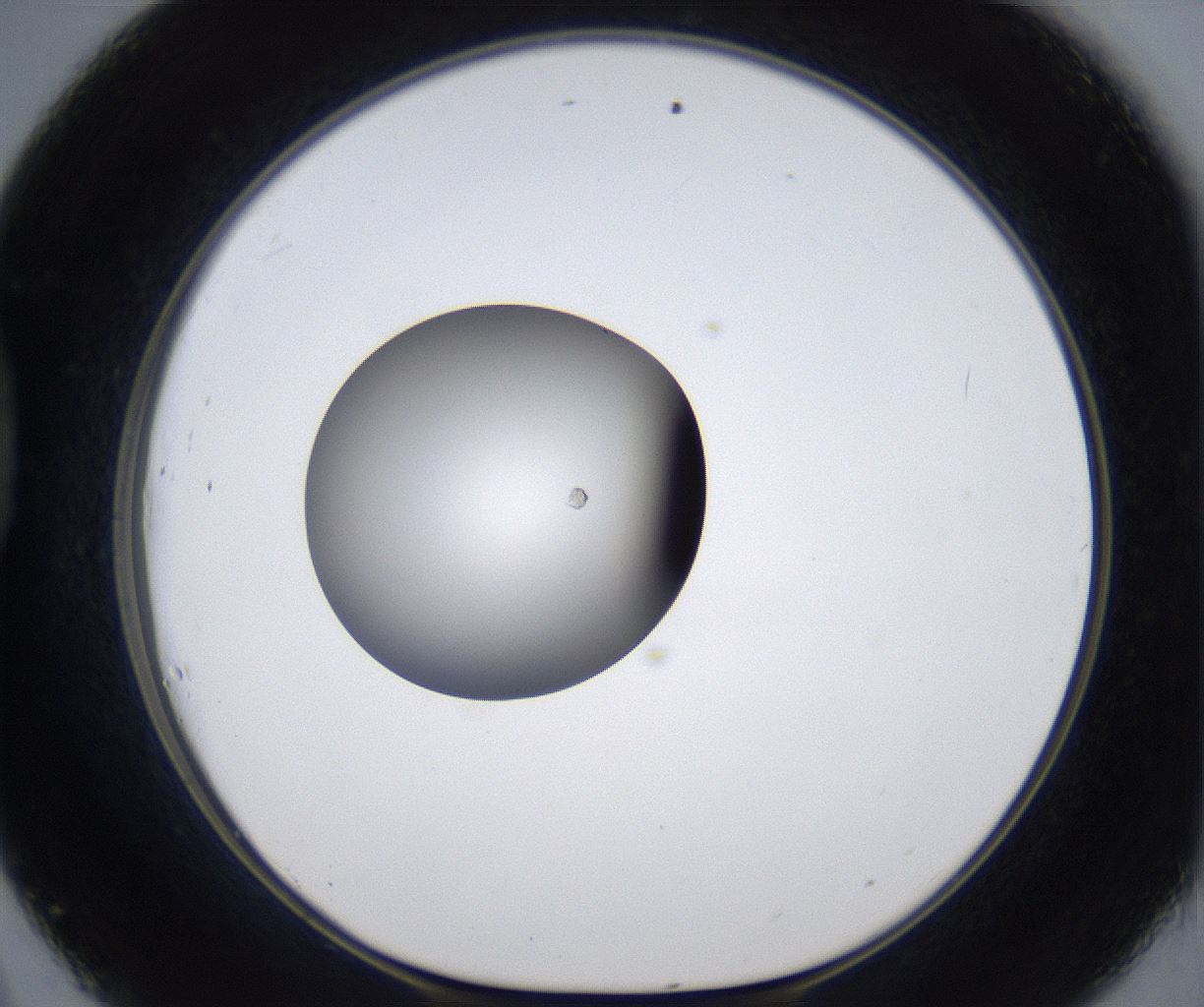 folderID301_plateID2301_batchID11015_wellNum45_profileID1_d1_r161082_ef.jpg