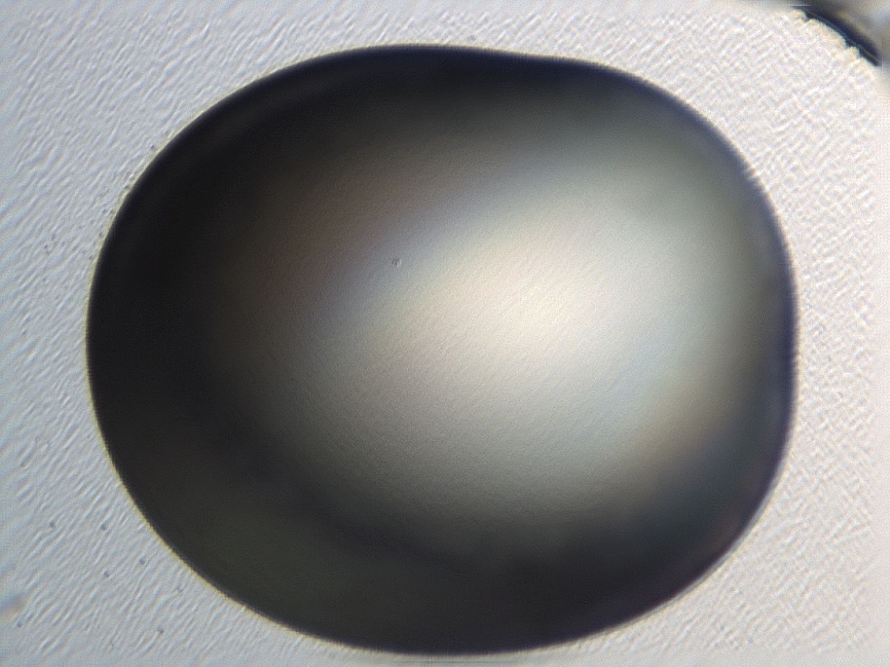 0476_H4_ImagerDefaults_1.jpg