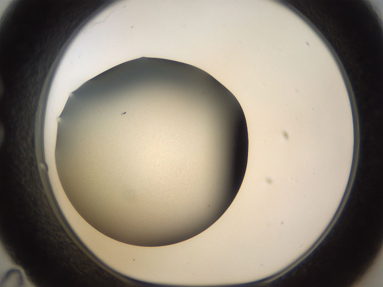folderID309_plateID3309_batchID18998_wellNum35_profileID1_d1_r291314_ef.jpg