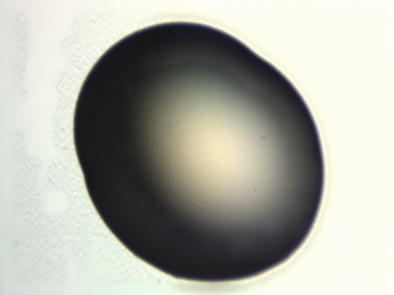 0476_H11_ImagerDefaults_1.jpg
