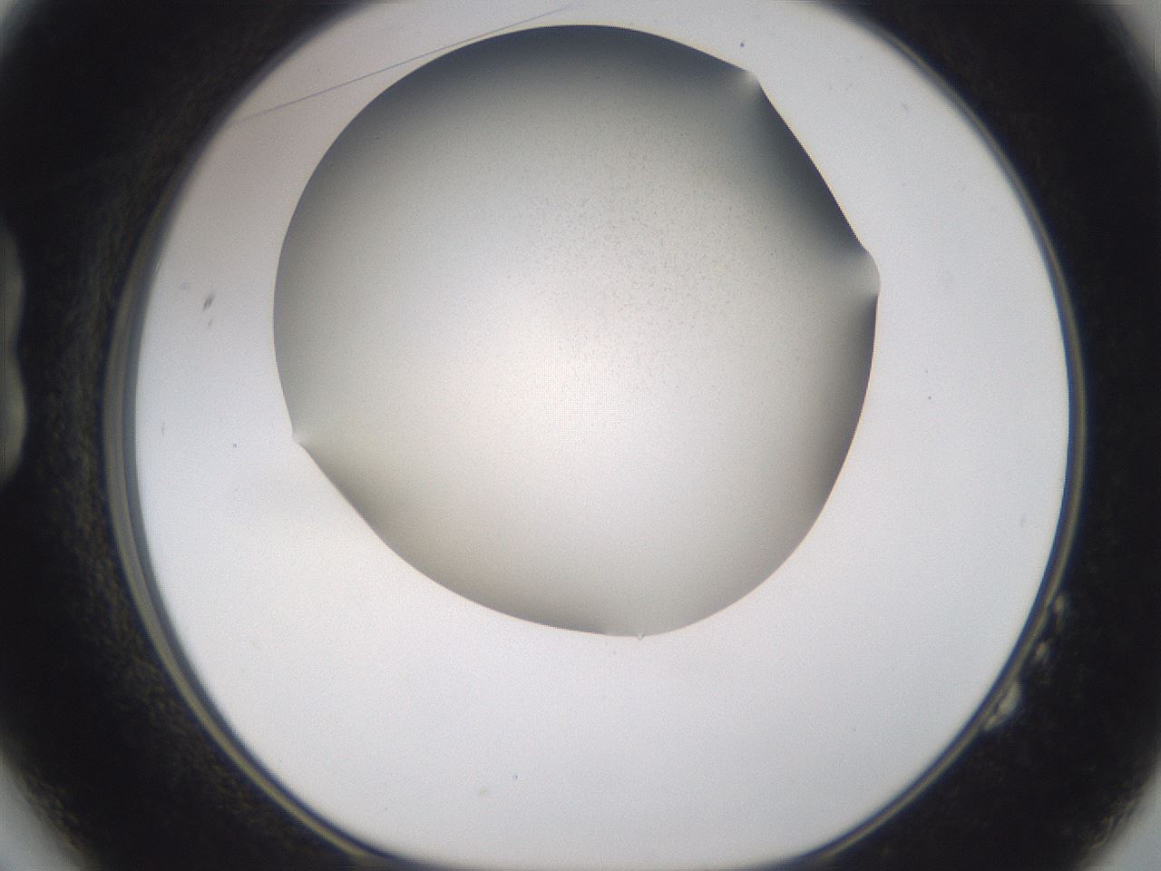 folderID309_plateID3309_batchID19756_wellNum14_profileID1_d1_r291272_ef.jpg