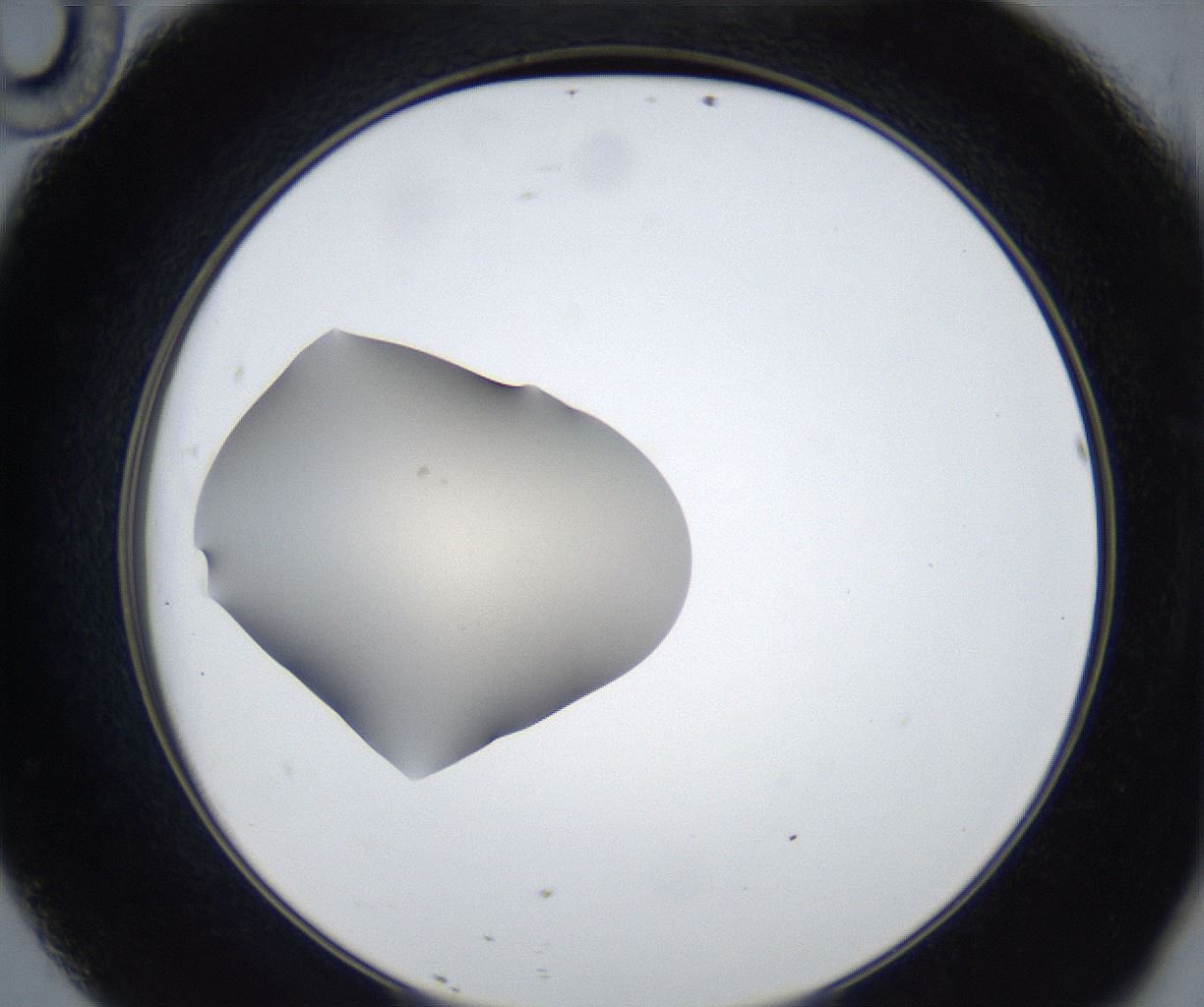 folderID318_plateID3318_batchID19130_wellNum46_profileID1_d2_r292297_ef.jpg