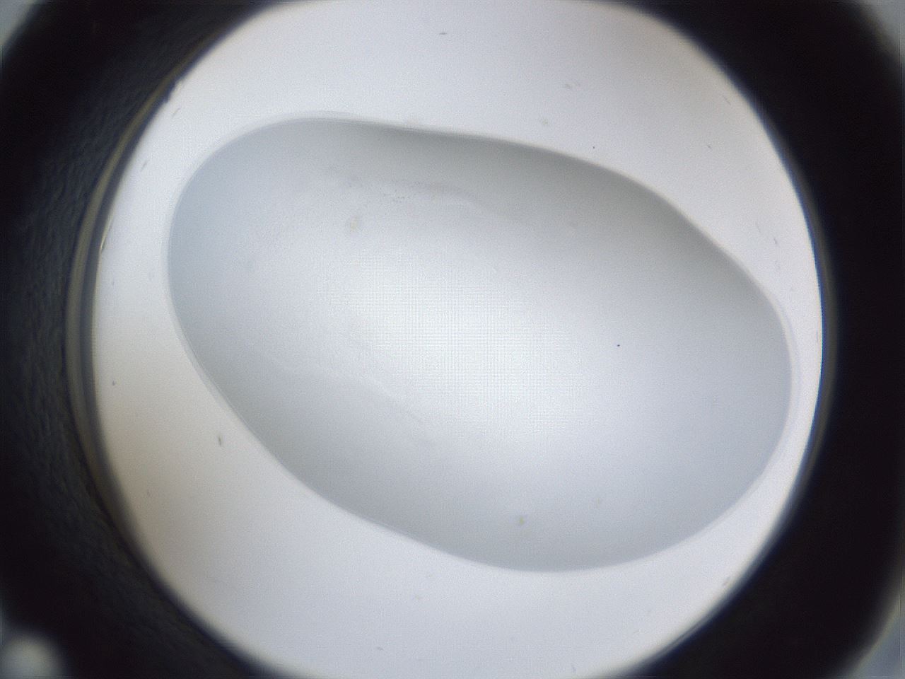 folderID31_plateID1031_batchID1827_wellNum42_profileID1_d2_r44407_ef.jpg