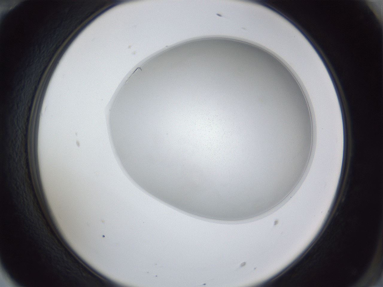folderID31_plateID1031_batchID1851_wellNum70_profileID1_d2_r44463_ef.jpg