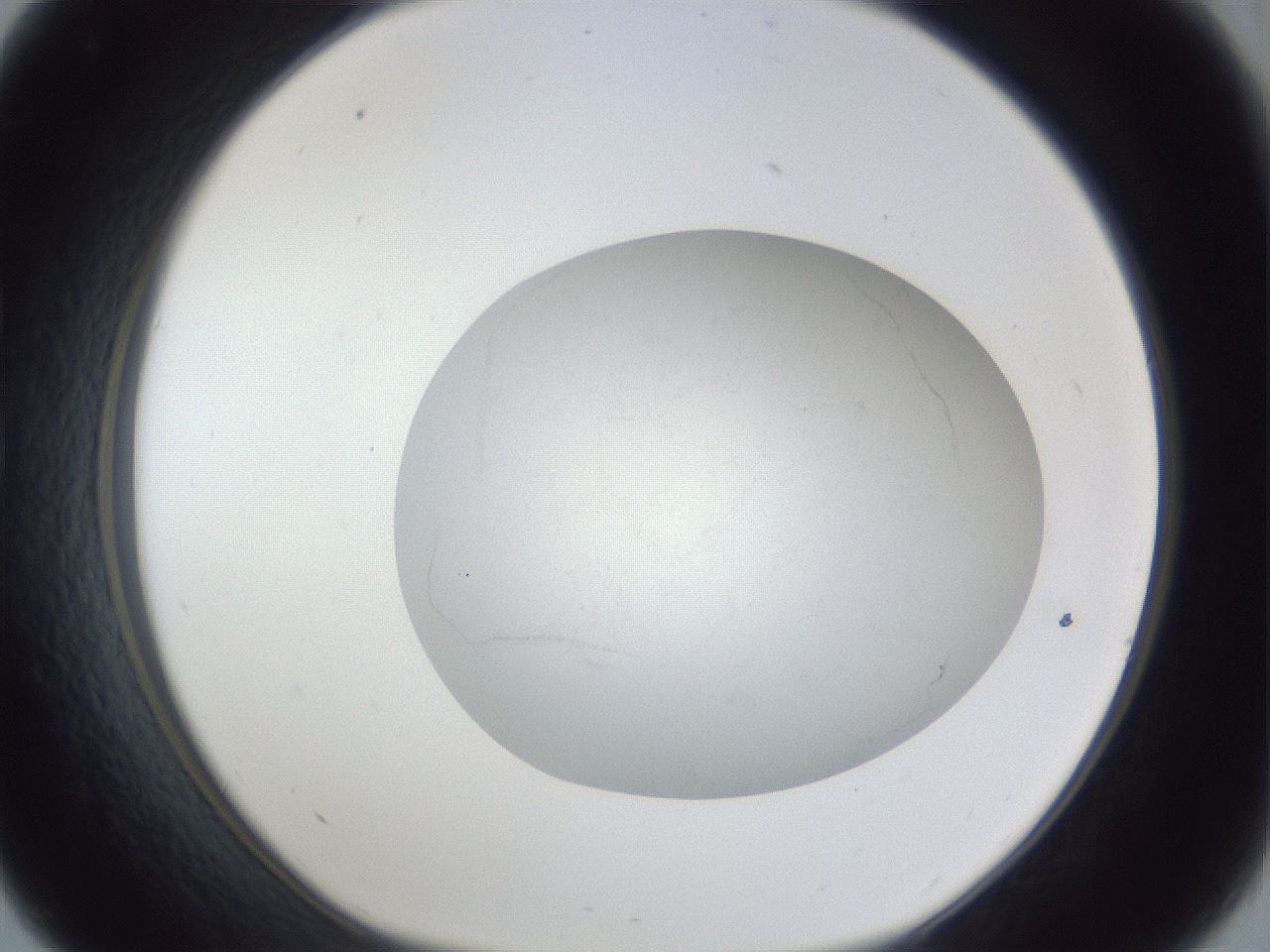 folderID32_plateID1032_batchID1829_wellNum33_profileID1_d1_r44580_ef.jpg