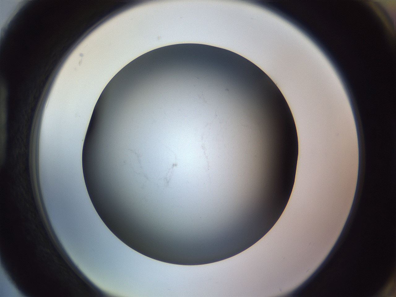 folderID351_plateID1351_batchID4917_wellNum88_profileID1_d1_r81603_ef.jpg