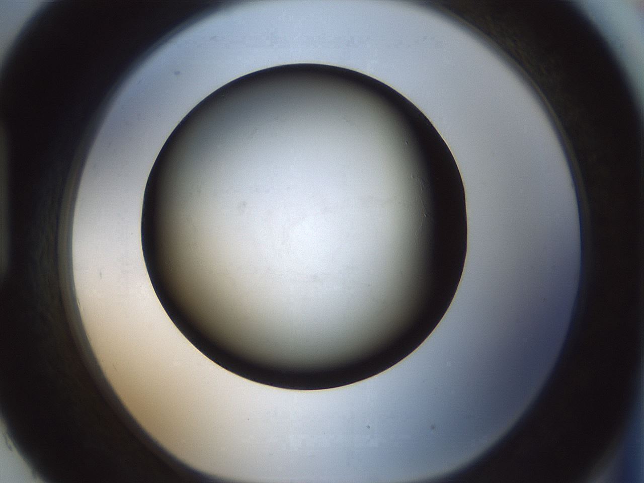 folderID365_plateID1365_batchID4694_wellNum93_profileID1_d1_r82860_ef.jpg