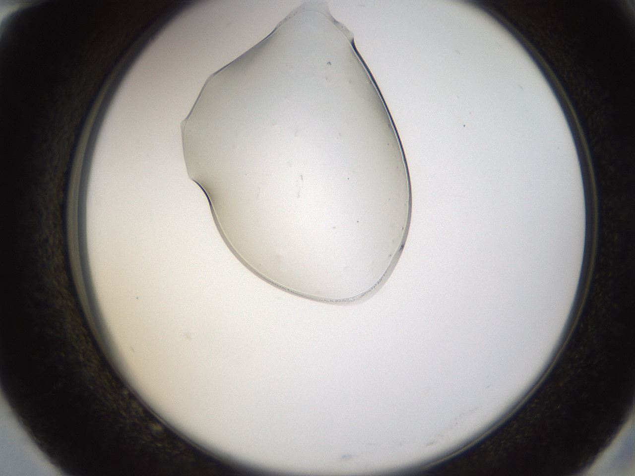folderID367_plateID1367_batchID4555_wellNum82_profileID1_d2_r83123_ef.jpg