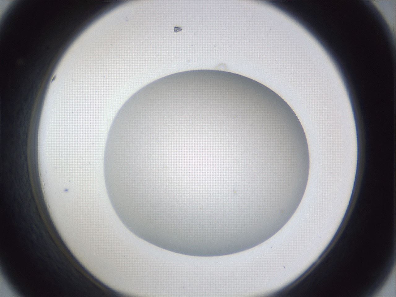 folderID36_plateID1036_batchID1857_wellNum44_profileID1_d1_r45138_ef.jpg