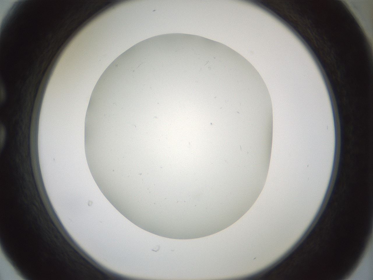 folderID370_plateID1370_batchID4990_wellNum30_profileID1_d1_r83565_ef.jpg