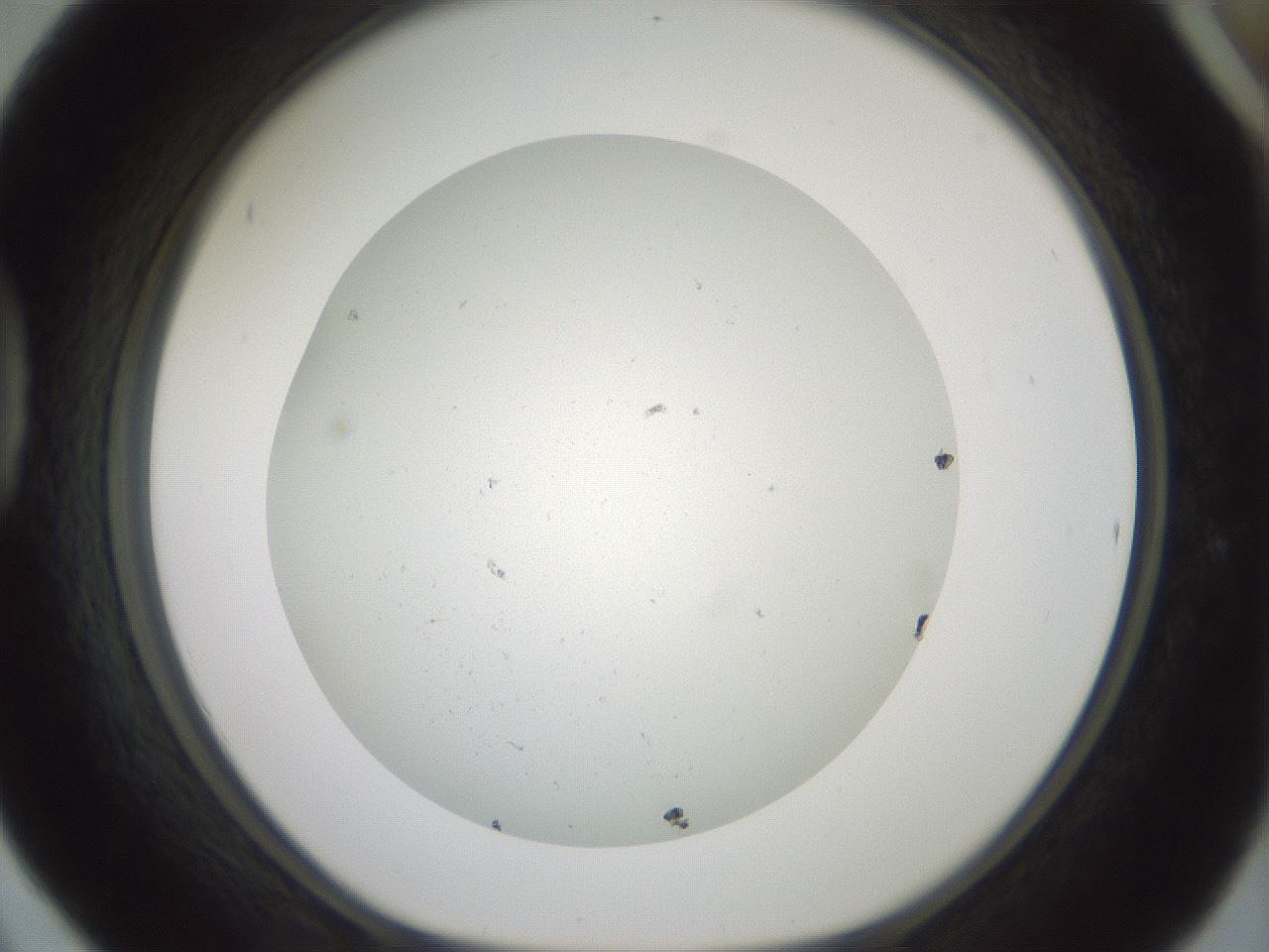 folderID370_plateID1370_batchID6050_wellNum42_profileID1_d1_r83577_ef.jpg