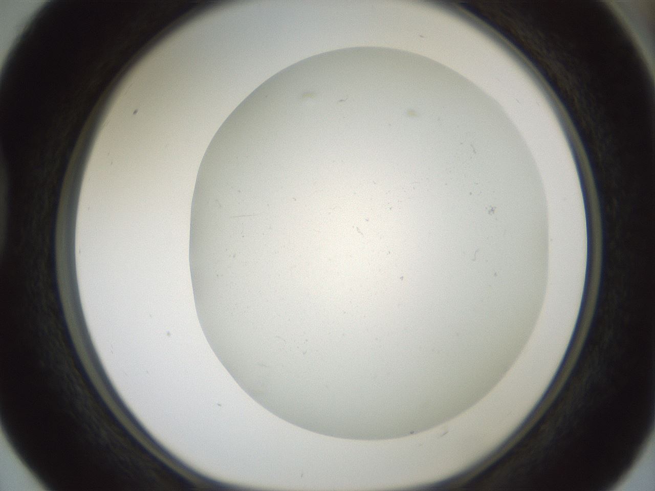 folderID370_plateID1370_batchID6053_wellNum40_profileID1_d1_r83575_ef.jpg