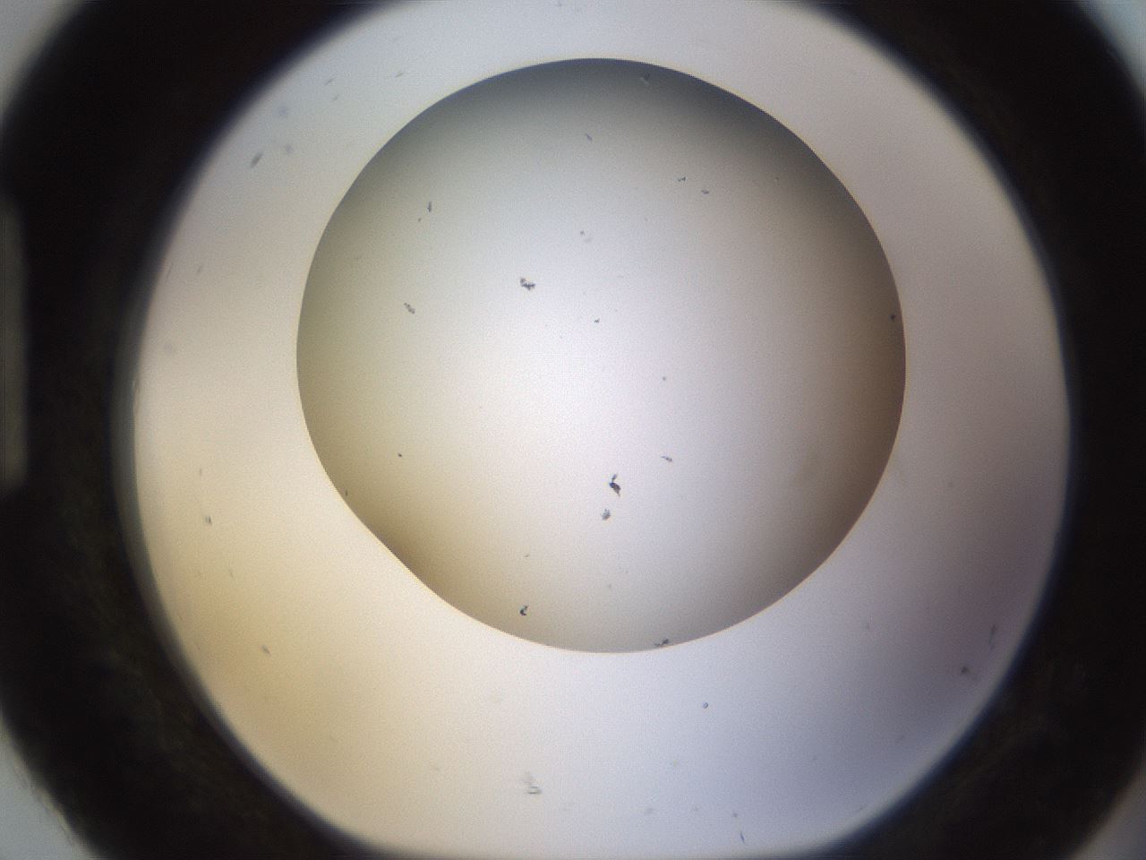 folderID371_plateID1371_batchID4605_wellNum92_profileID1_d1_r83531_ef.jpg